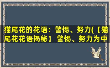 猫尾花的花语：警惕、努力(【猫尾花花语揭秘】 警惕、努力为中心的神秘之花)